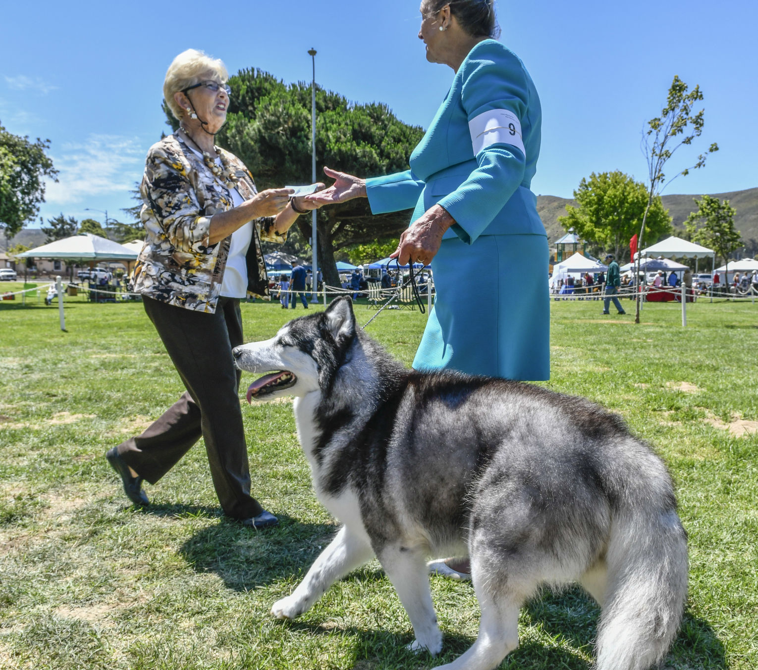 073121 Dog show 08.JPG